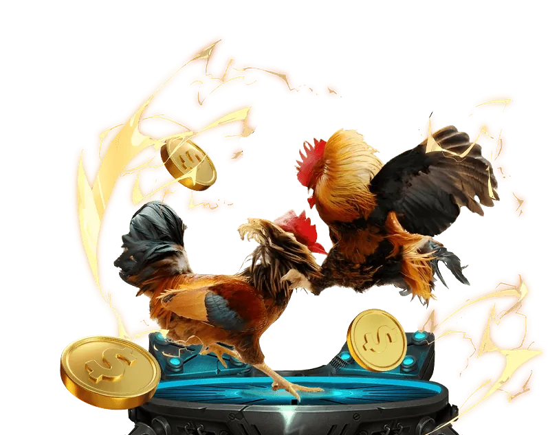 Biểu đồ so sánh các loại tỷ lệ cược